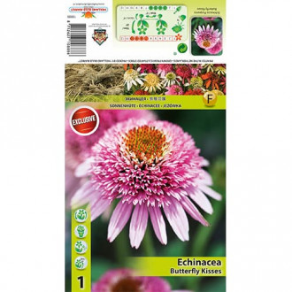 Echinacea Butterfly Kisses imagine 3