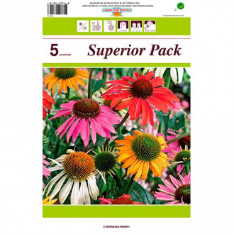 Echinacea mix multicolor imagine 5