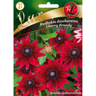 Rudbeckia (Bulgări de soare) Cherry Brandy imagine 10