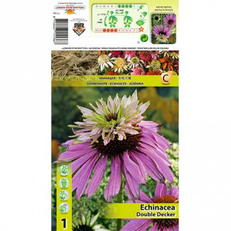 Echinacea Double Decker imagine 18