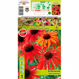 Echinacea Hot Summer imagine 7