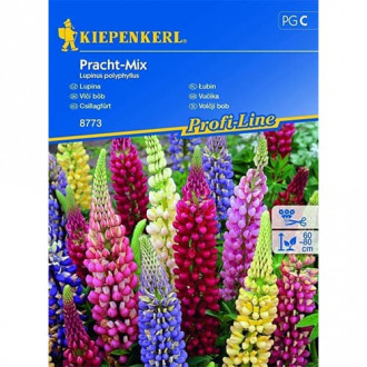 Лупина Splendid, Mix изображение 2