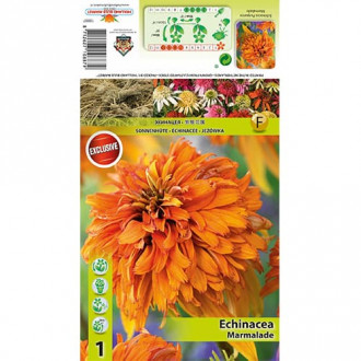 Ехинацея Marmalade изображение 10