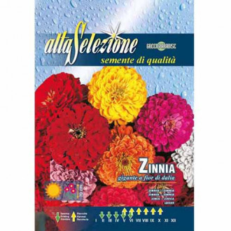 Елегантна циния, смес от цветове изображение 3