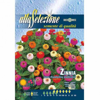 Елегантна циния Thumbelina, смес от цветове изображение 1