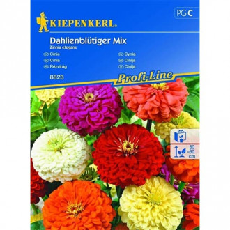 Циния Dahlienblütiger, Mix изображение 9