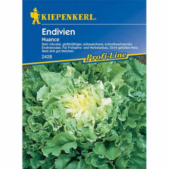 Ендивия Nuance изображение 8