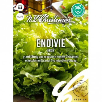 Salata endywia Eros interface.image 9