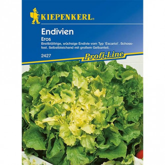 Salata endywia Eros interface.image 8