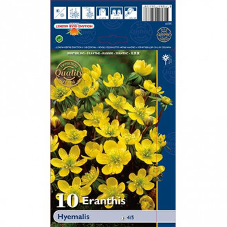 Ерантис Hyemalis изображение 2