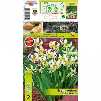 Erythronium White Beauty imagine 1