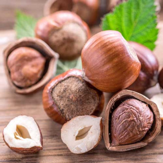 Лешник Ennis изображение 9