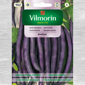 Fasola szparagowa fioletowa karłowa Amethyst interface.image 18