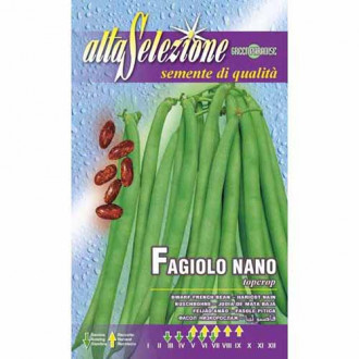 Fasola szparagowa Top Crop Morami