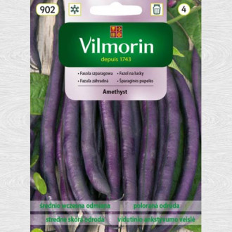 Fasole Amethyst imagine 8