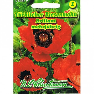 Mac de grădină Brillant imagine 6