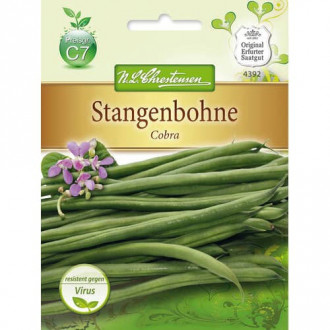 Fasole Cobra imagine 16
