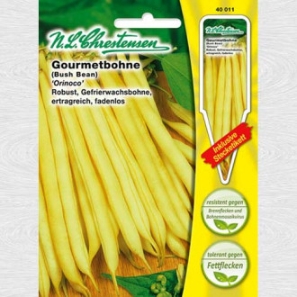 Fasole galbenă Orinoco imagine 17