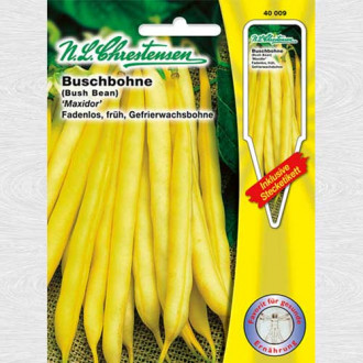 Fasole Maxidor (Chrestensen) imagine 6