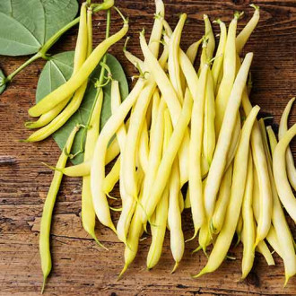 Fasole Maxidor imagine 8