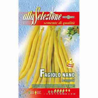 Fasole oloagă Berggold imagine 5