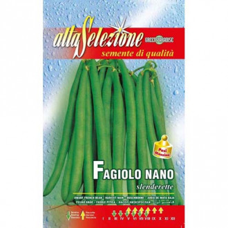 Fasole oloagă Slenderette imagine 6