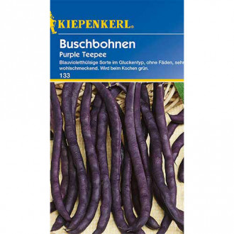 Fasole Purple Teepee Kiepenkerl imagine 10