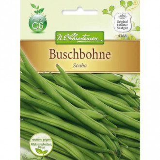 Fasole Scuba imagine 7