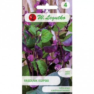 Фасул декоративен египетски Legutko изображение 15