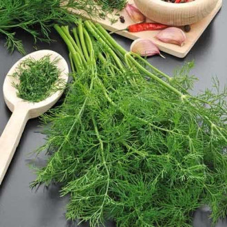 Fenicul Magnafena imagine 18