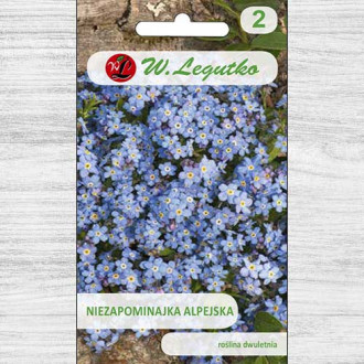Floare de nu mă uita, albastră Legutko imagine 5