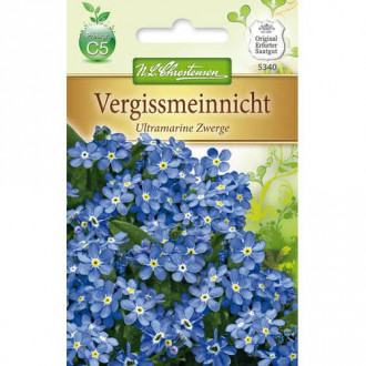 Floare de nu mă uita Ultramarine imagine 7