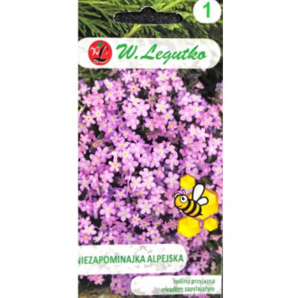 Floare de nu mă uita roz Legutko imagine 7