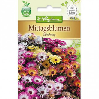 Floarea de cristal (Delosperma), mix multicolor imagine 1