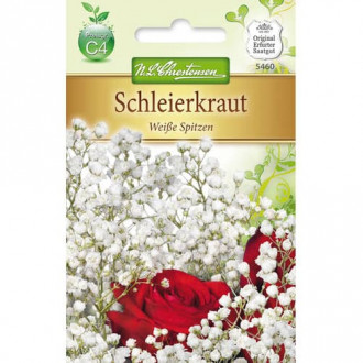 Floarea miresei (Gypshopila) White Tips imagine 10