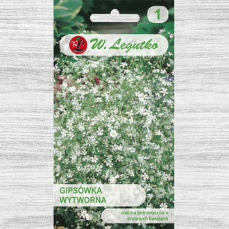 Floarea miresei (Gypsophila) albă Legutko imagine 9