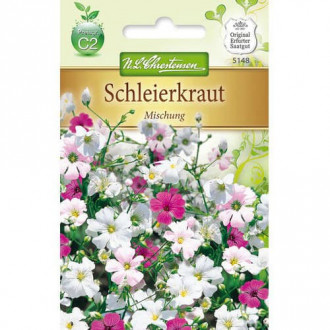 Floarea miresei (Gypsophila), mix multicolor imagine 2