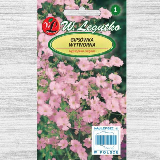 Floarea miresei (Gypsophila) roz imagine 16