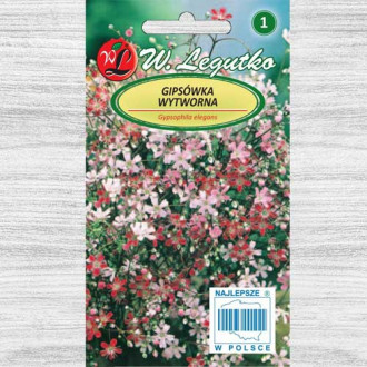 Floarea miresei (Gypsophila) stelată, mix multicolor Legutko imagine 12