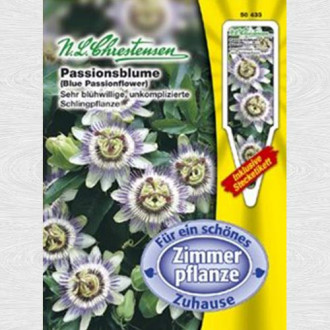 Floarea pasiunii (Chrestensen) imagine 3