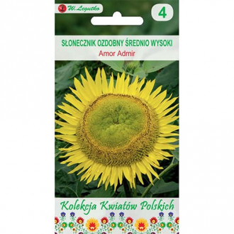 Floarea soarelui decorativă Amor Admir imagine 6