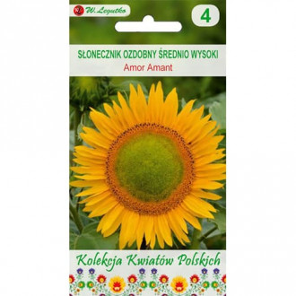 Floarea soarelui decorativă Amor Amant imagine 10