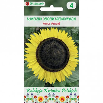 Floarea soarelui decorativă Amor Arnold imagine 1