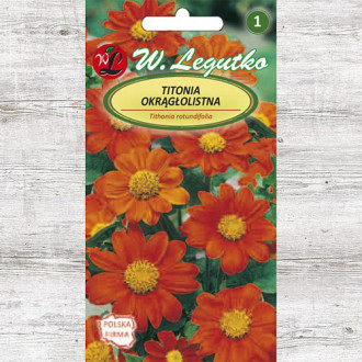 Floarea soarelui mexicană (Titonia) Legutko imagine 11