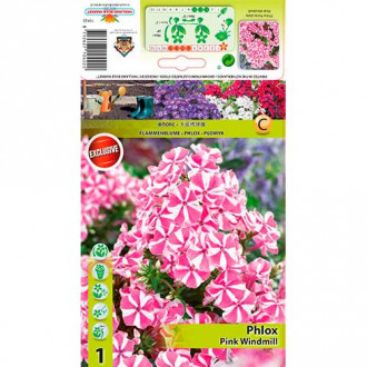 Płomyk Pink Windmill interface.image 13