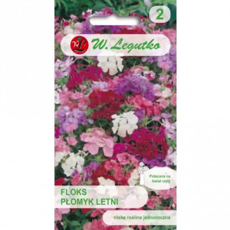 Флокс, смес Legutko изображение 18