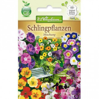 Flori cățărătoare, mix multicolor imagine 1