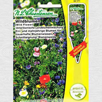 Flori de câmp American Mix, mix multicolor imagine 7