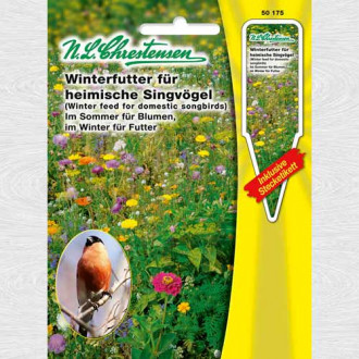 Flori de câmp, hrană de iarnă pentru păsări imagine 5