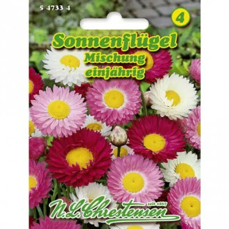 Flori de paie Sun Wing, mix multicolor imagine 4